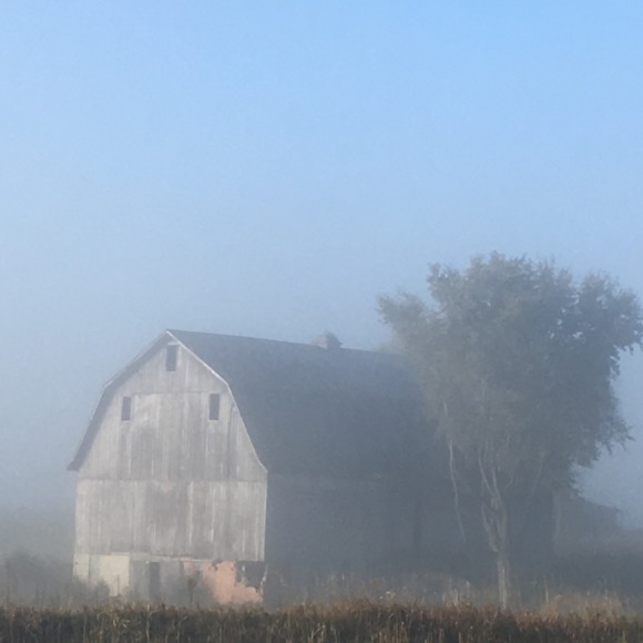 Meet your Posher, Heidi - Picture 1 of 1